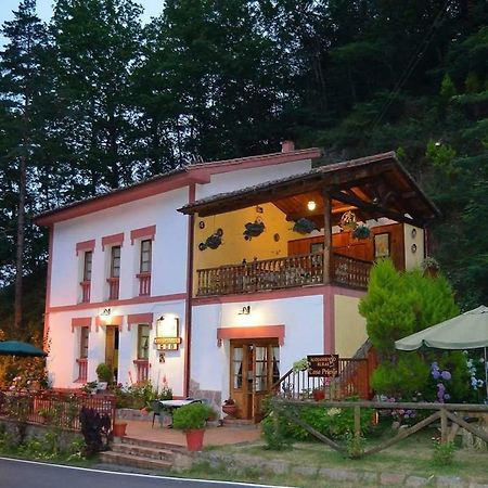 Casa Rural Priena Covadonga Esterno foto